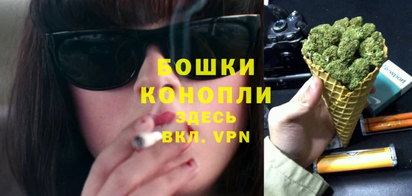 стафф Бородино