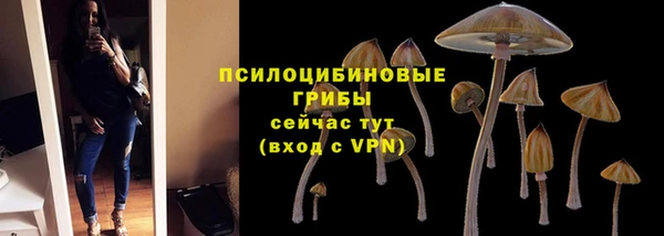 бошки Верея