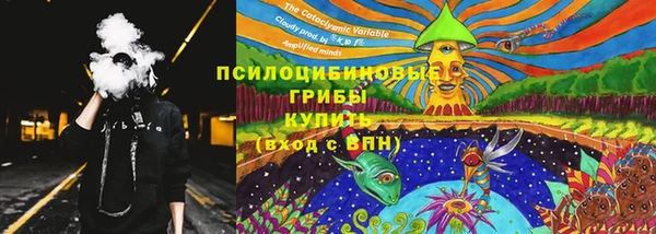 бошки Верея