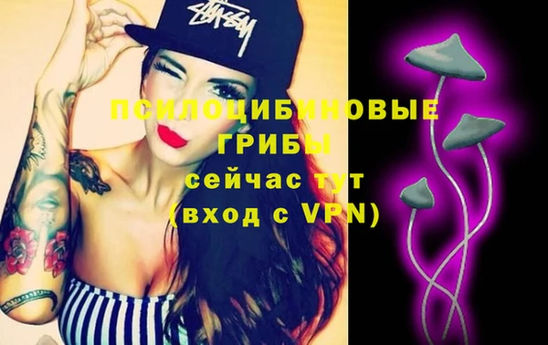 спиды Бугульма