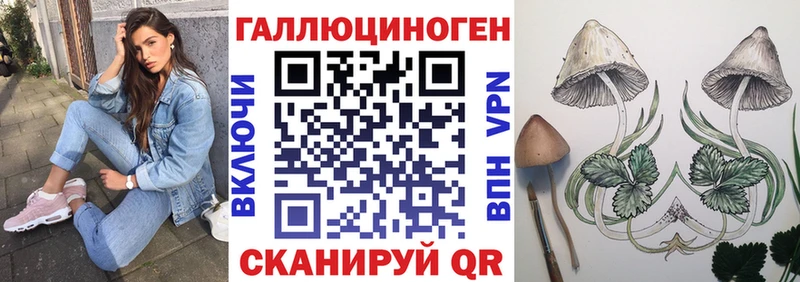 Псилоцибиновые грибы мухоморы  купить закладку  гидра зеркало  Горнозаводск 