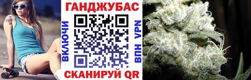 Конопля гибрид  Горнозаводск 